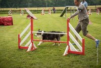 0015AGILITY CLAYE SOUILLY - CAT C - CHELSEA AGI 0858- : 2016, 26 JUIN 2016, Berger Australien, CHELSEA, Claye Souilly, robe noir