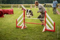 0017AGILITY CLAYE SOUILLY - CAT C - CHELSEA AGI 0861- : 2016, 26 JUIN 2016, Berger Australien, CHELSEA, Claye Souilly, robe noir