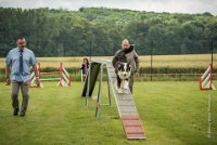 0019AGILITY CLAYE SOUILLY - CAT C - CHELSEA AGI 0863- : 2016, 26 JUIN 2016, Berger Australien, CHELSEA, Claye Souilly, robe noir