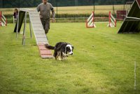 0020AGILITY CLAYE SOUILLY - CAT C - CHELSEA AGI 0864- : 2016, 26 JUIN 2016, Berger Australien, CHELSEA, Claye Souilly, robe noir