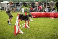 0022AGILITY CLAYE SOUILLY - CAT C - CHELSEA AGI 0866- : 2016, 26 JUIN 2016, Berger Australien, CHELSEA, Claye Souilly, robe noir