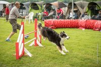 0023AGILITY CLAYE SOUILLY - CAT C - CHELSEA AGI 0867- : 2016, 26 JUIN 2016, Berger Australien, CHELSEA, Claye Souilly, robe noir