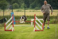 0024AGILITY CLAYE SOUILLY - CAT C - CHELSEA AGI 0868- : 2016, 26 JUIN 2016, Berger Australien, CHELSEA, Claye Souilly, robe noir