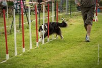 0027AGILITY CLAYE SOUILLY - CAT C - CHELSEA AGI 0871- : 2016, 26 JUIN 2016, Berger Australien, CHELSEA, Claye Souilly, robe noir