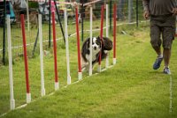 0028AGILITY CLAYE SOUILLY - CAT C - CHELSEA AGI 0872- : 2016, 26 JUIN 2016, Berger Australien, CHELSEA, Claye Souilly, robe noir