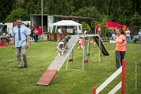 0009AGILITY CLAYE SOUILLY - DJOY BLUE AGI 1360- : 2016, 26 JUIN 2016, Berger des shetlands, Claye Souilly, DJOY BLUE, robe bleu merle