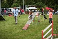 0010AGILITY CLAYE SOUILLY - DJOY BLUE AGI 1361- : 2016, 26 JUIN 2016, Berger des shetlands, Claye Souilly, DJOY BLUE, robe bleu merle