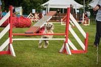 0004AGILITY CLAYE SOUILLY - EDEN ROCAGI 9874- : 2016, 26 JUIN 2016, COCKER AMERICAIN, Claye Souilly, EDEN ROC, Open