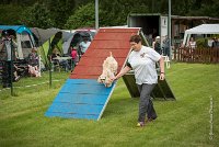 0010AGILITY CLAYE SOUILLY - EDEN ROCAGI 1642- : 2016, 26 JUIN 2016, COCKER AMERICAIN, Claye Souilly, EDEN ROC