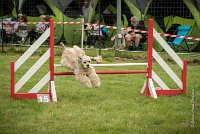 0013AGILITY CLAYE SOUILLY - EDEN ROCAGI 1645- : 2016, 26 JUIN 2016, COCKER AMERICAIN, Claye Souilly, EDEN ROC