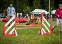 0010AGILITY CLAYE SOUILLY - CAT B - ESMERALDA AGI 9860- : 2016, 26 JUIN 2016, Catégorie B, Claye Souilly, EPAGNEUL BRETON, ESMERALDA dite CANNELLE, Open