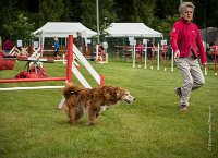 0012AGILITY CLAYE SOUILLY - CAT B - ESMERALDA AGI 9862- : 2016, 26 JUIN 2016, Catégorie B, Claye Souilly, EPAGNEUL BRETON, ESMERALDA dite CANNELLE, Open