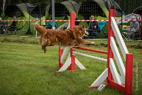 0013AGILITY CLAYE SOUILLY - CAT B - ESMERALDA AGI 9863- : 2016, 26 JUIN 2016, Catégorie B, Claye Souilly, EPAGNEUL BRETON, ESMERALDA dite CANNELLE, Open