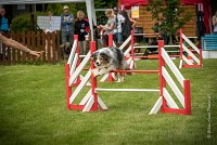 0026AGILITY CLAYE SOUILLY - CAT C - ETNA AGI 1526- : 2016, 26 JUIN 2016, Berger Australien, Claye Souilly, ETNA, robe bleu merle