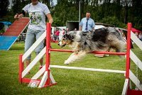 0040AGILITY CLAYE SOUILLY - CAT C - ETNA AGI 1542- : 2016, 26 JUIN 2016, Berger Australien, Claye Souilly, ETNA, robe bleu merle