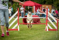 0042AGILITY CLAYE SOUILLY - CAT C - ETNA AGI 1544- : 2016, 26 JUIN 2016, Berger Australien, Claye Souilly, ETNA, robe bleu merle