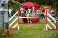 0043AGILITY CLAYE SOUILLY - CAT C - ETNA AGI 1545- : 2016, 26 JUIN 2016, Berger Australien, Claye Souilly, ETNA, robe bleu merle