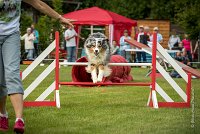 0044AGILITY CLAYE SOUILLY - CAT C - ETNA AGI 1546- : 2016, 26 JUIN 2016, Berger Australien, Claye Souilly, ETNA, robe bleu merle