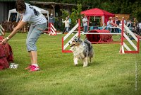 0046AGILITY CLAYE SOUILLY - CAT C - ETNA AGI 1548- : 2016, 26 JUIN 2016, Berger Australien, Claye Souilly, ETNA, robe bleu merle