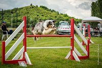 0048AGILITY CLAYE SOUILLY - CAT C - ETNA AGI 1550- : 2016, 26 JUIN 2016, Berger Australien, Claye Souilly, ETNA, robe bleu merle