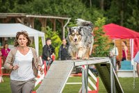 0001AGILITY CLAYE SOUILLY - F'I BET YOU DO AGI 9304- : 2016, 26 JUIN 2016, Berger Australien, Catégorie C, Claye Souilly, F'I BET YOU DO, Open, robe bleu merle