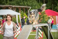 0002AGILITY CLAYE SOUILLY - F'I BET YOU DO AGI 9305- : 2016, 26 JUIN 2016, Berger Australien, Catégorie C, Claye Souilly, F'I BET YOU DO, Open, robe bleu merle