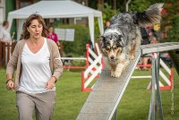 0003AGILITY CLAYE SOUILLY - F'I BET YOU DO AGI 9306- : 2016, 26 JUIN 2016, Berger Australien, Catégorie C, Claye Souilly, F'I BET YOU DO, Open, robe bleu merle