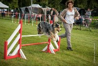 0011AGILITY CLAYE SOUILLY - F'I BET YOU DO AGI 9322- : 2016, 26 JUIN 2016, Berger Australien, Catégorie C, Claye Souilly, F'I BET YOU DO, Open, robe bleu merle