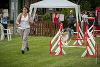 0013AGILITY CLAYE SOUILLY - F'I BET YOU DO AGI 1458- : 2016, 26 JUIN 2016, Berger Australien, Catégorie C, Claye Souilly, F'I BET YOU DO, robe bleu merle