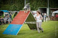 0014AGILITY CLAYE SOUILLY - F'I BET YOU DO AGI 1459- : 2016, 26 JUIN 2016, Berger Australien, Catégorie C, Claye Souilly, F'I BET YOU DO, robe bleu merle