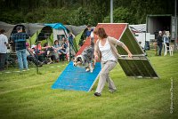 0015AGILITY CLAYE SOUILLY - F'I BET YOU DO AGI 1460- : 2016, 26 JUIN 2016, Berger Australien, Catégorie C, Claye Souilly, F'I BET YOU DO, robe bleu merle