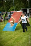 0021AGILITY CLAYE SOUILLY - FIDJI DREAM RED GIRL'S AGI 1593- : 2016, 26 JUIN 2016, Berger Australien, Claye Souilly, FIDJI DREAM RED GIRL'S, robe rouge