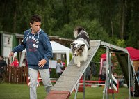 0003AGILITY CLAYE SOUILLY - CAT B - GWASH AGI 9978- : 2016, 26 JUIN 2016, Berger des shetlands, CONCOURS AGILITY, Catégorie B, Claye Souilly, Dossard 4, GWASH, Open