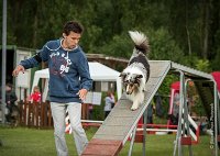 0004AGILITY CLAYE SOUILLY - CAT B - GWASH AGI 9979- : 2016, 26 JUIN 2016, Berger des shetlands, CONCOURS AGILITY, Catégorie B, Claye Souilly, Dossard 4, GWASH, Open