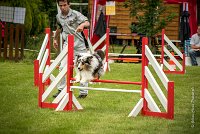 0022AGILITY CLAYE SOUILLY - CAT B - GWASH AGI 1714- : 2016, 26 JUIN 2016, 2ème degré, Berger des shetlands, CONCOURS AGILITY, Catégorie B, Claye Souilly, Dossard 4, GWASH, Handi 3