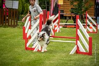 0023AGILITY CLAYE SOUILLY - CAT B - GWASH AGI 1715- : 2016, 26 JUIN 2016, 2ème degré, Berger des shetlands, CONCOURS AGILITY, Catégorie B, Claye Souilly, Dossard 4, GWASH, Handi 3