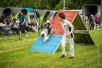 0025AGILITY CLAYE SOUILLY - CAT B - GWASH AGI 1717- : 2016, 26 JUIN 2016, 2ème degré, Berger des shetlands, CONCOURS AGILITY, Catégorie B, Claye Souilly, Dossard 4, GWASH, Handi 3