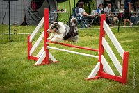 0026AGILITY CLAYE SOUILLY - CAT B - GWASH AGI 1718- : 2016, 26 JUIN 2016, 2ème degré, Berger des shetlands, CONCOURS AGILITY, Catégorie B, Claye Souilly, Dossard 4, GWASH, Handi 3