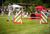 0034AGILITY CLAYE SOUILLY - CAT B - GWASH AGI 1726- : 2016, 26 JUIN 2016, 2ème degré, Berger des shetlands, CONCOURS AGILITY, Catégorie B, Claye Souilly, Dossard 4, GWASH, Handi 3