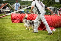 0036AGILITY CLAYE SOUILLY - CAT B - GWASH AGI 1728- : 2016, 26 JUIN 2016, 2ème degré, Berger des shetlands, CONCOURS AGILITY, Catégorie B, Claye Souilly, Dossard 4, GWASH, Handi 3