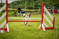 0037AGILITY CLAYE SOUILLY - CAT B - GWASH AGI 1729- : 2016, 26 JUIN 2016, 2ème degré, Berger des shetlands, CONCOURS AGILITY, Catégorie B, Claye Souilly, Dossard 4, GWASH, Handi 3