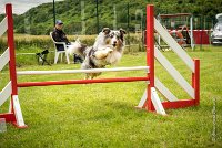 0038AGILITY CLAYE SOUILLY - CAT B - GWASH AGI 1730- : 2016, 26 JUIN 2016, 2ème degré, Berger des shetlands, CONCOURS AGILITY, Catégorie B, Claye Souilly, Dossard 4, GWASH, Handi 3