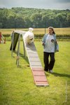 0018AGILITY CLAYE SOUILLY - HALTO AGI 1142- : 2016, 26 JUIN 2016, Claye Souilly, HALTO