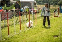 0022AGILITY CLAYE SOUILLY - HALTO AGI 1150- : 2016, 26 JUIN 2016, Claye Souilly, HALTO