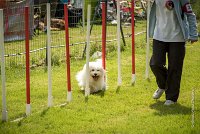 0024AGILITY CLAYE SOUILLY - HALTO AGI 1153- : 2016, 26 JUIN 2016, Claye Souilly, HALTO