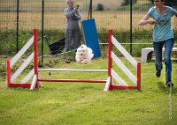 0022AGILITY CLAYE SOUILLY - CAT A - JM LEELOO AGI 1112- : 1er degré, 2016, 26 JUIN 2016, COTON DE TULEAR, Catégorie A, Claye Souilly, Dossard 7, JM LEELOO