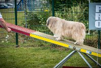 AGILITY COMPIEGNE - DIPSIE -14 : 2016, 6 Août 2016, COMPIEGNE, Catégorie B, DIPSIE, Open