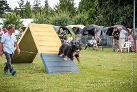 AGILITY COMPIEGNE - ELENKA -10 : 2016, 6 Août 2016, COMPIEGNE, Catégorie D, ELENKA, Open