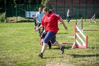 AGILITY COMPIEGNE - ELENKA -14 : 2016, 2ème degré, 6 Août 2016, COMPIEGNE, Catégorie D, ELENKA