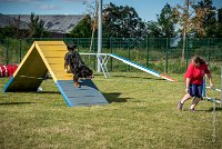 AGILITY COMPIEGNE - ELENKA -20 : 2016, 2ème degré, 6 Août 2016, COMPIEGNE, Catégorie D, ELENKA